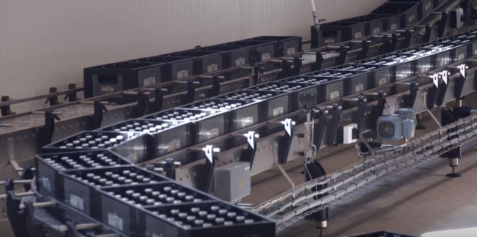 Bottelen - The Brew Society Na de goedkeuring van het labo gaan we verder naar de bottelarij om het afgewerkte bier te pasteuriseren en af te vullen in alle mogelijke formaten: flessen, blikken, vaten noem maar op, alles verloopt aan de hoogste normen via onze aller modernste Krones afvulinstallatie.